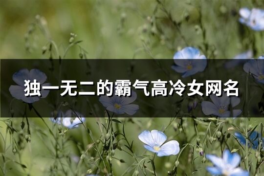 独一无二的霸气高冷女网名(精选307个)