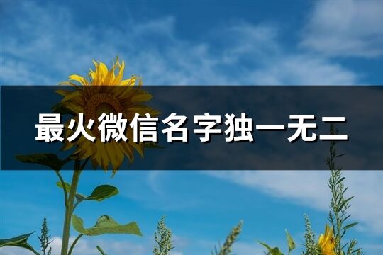 最火微信名字独一无二(共955个)