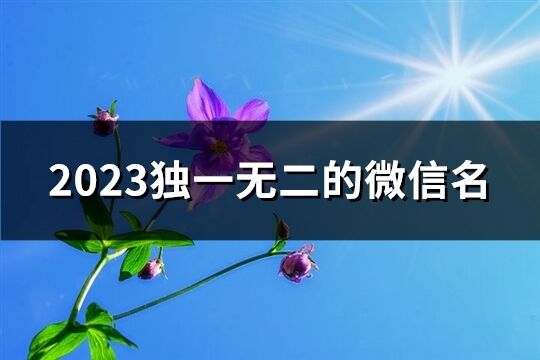 2023独一无二的微信名(优选3882个)