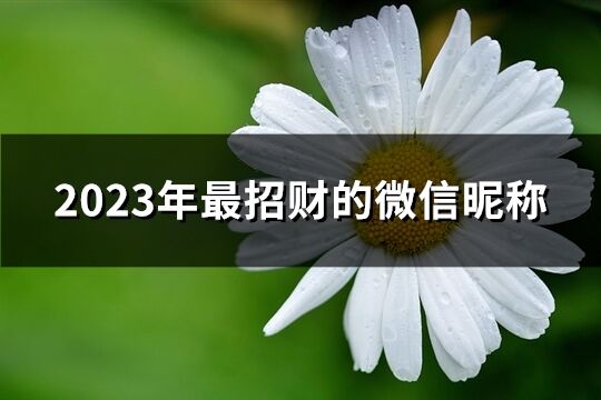 2023年最招财的微信昵称(795个)