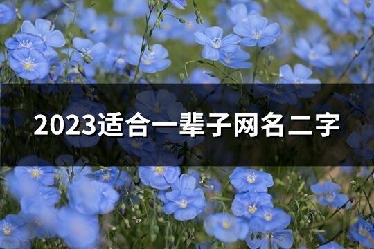 2023适合一辈子网名二字(优选643个)