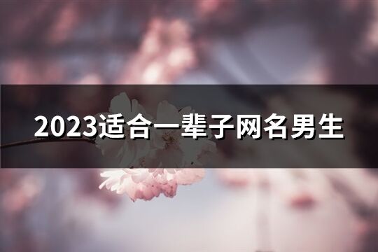 2023适合一辈子网名男生(优选726个)