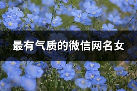 最有气质的微信网名女(优选1136个)