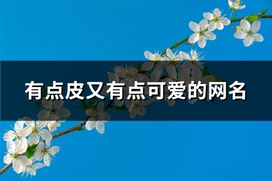 有点皮又有点可爱的网名(优选364个)