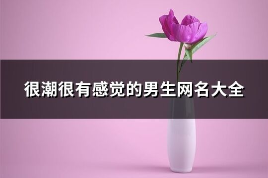 很潮很有感觉的男生网名大全(共260个)