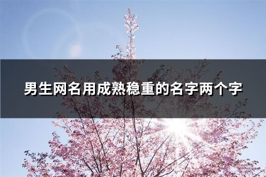 男生网名用成熟稳重的名字两个字(优选319个)