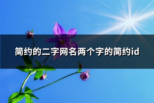 简约的二字网名两个字的简约id(优选3135个)