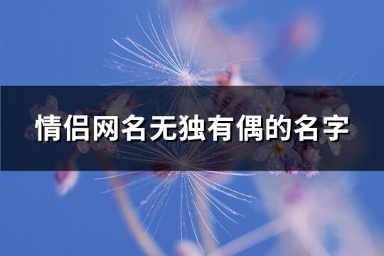 情侣网名无独有偶的名字(精选633个)