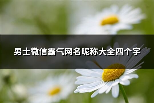 男士微信霸气网名昵称大全四个字(共589个)