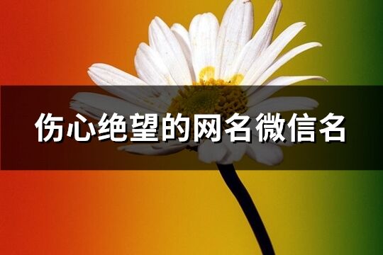 伤心绝望的网名微信名(共300个)