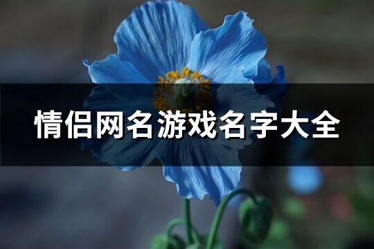 情侣网名游戏名字大全(362个)