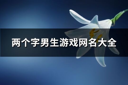 两个字男生游戏网名大全(精选984个)