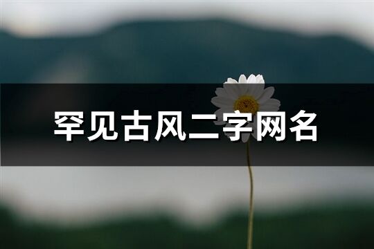 罕见古风二字网名(319个)