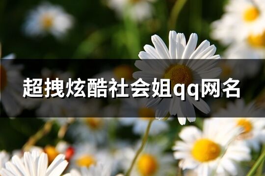 超拽炫酷社会姐qq网名(精选384个)