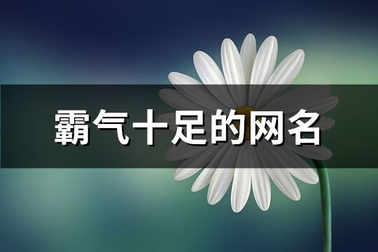 霸气十足的网名(共290个)