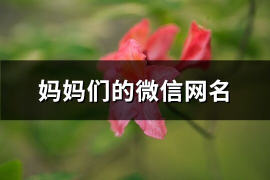 妈妈们的微信网名(共61个)