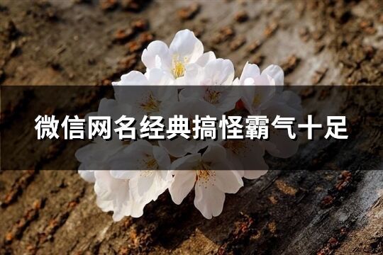 微信网名经典搞怪霸气十足(358个)