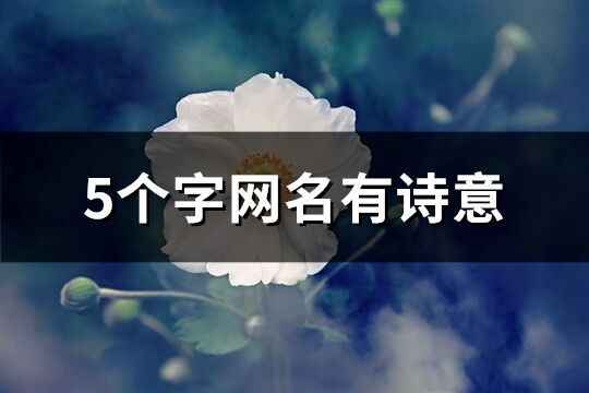 5个字网名有诗意(优选46个)