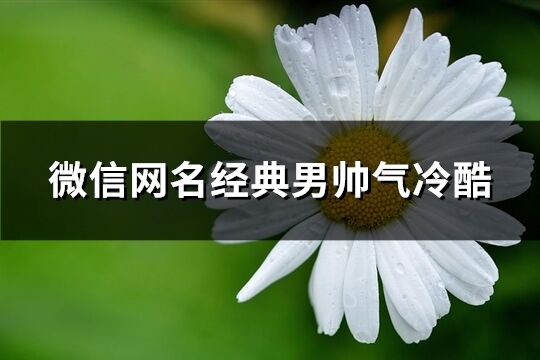 微信网名经典男帅气冷酷(精选330个)