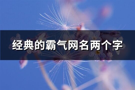 经典的霸气网名两个字(精选1027个)