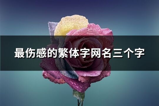 最伤感的繁体字网名三个字(共135个)