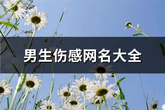 男生伤感网名大全(优选513个)