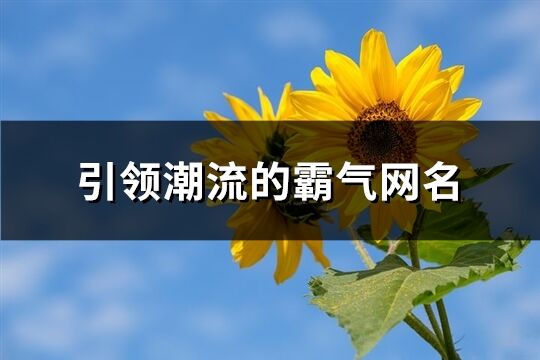 引领潮流的霸气网名(共355个)