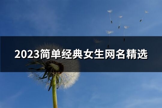 2023简单经典女生网名精选(精选570个)