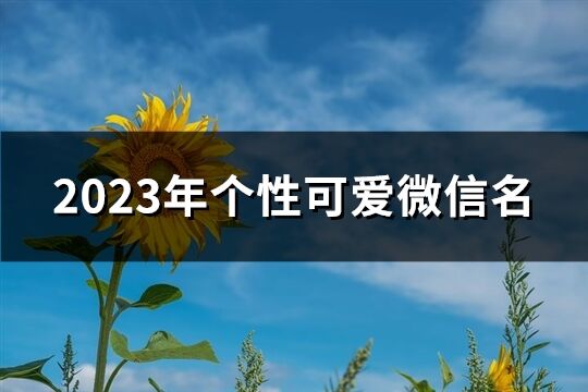 2023年个性可爱微信名(2385个)