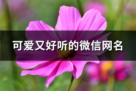 可爱又好听的微信网名(优选568个)