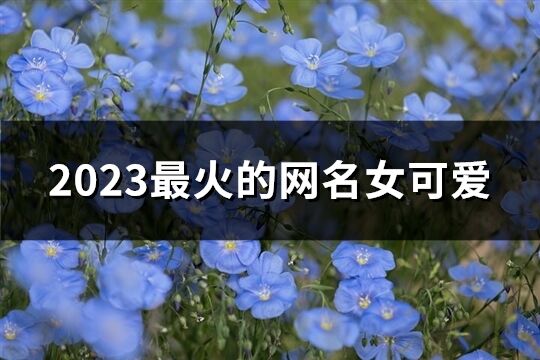 2023最火的网名女可爱(共583个)