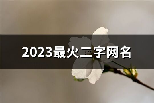 2023最火二字网名(777个)