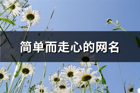 简单而走心的网名(精选257个)