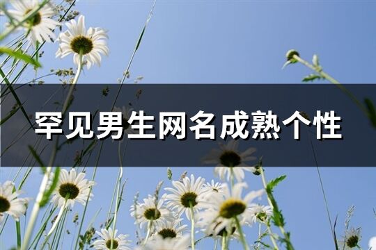 罕见男生网名成熟个性(精选41个)