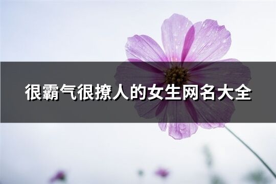 很霸气很撩人的女生网名大全(精选219个)