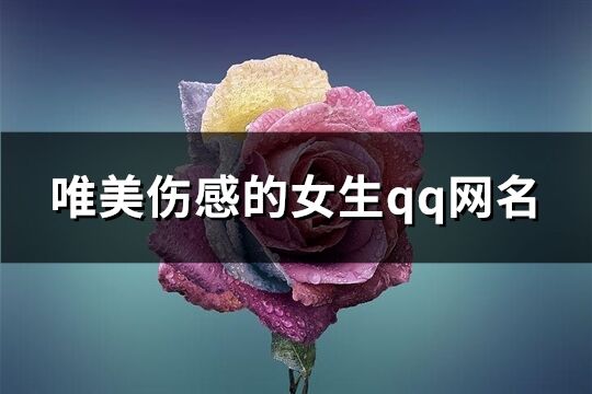 唯美伤感的女生qq网名(优选145个)