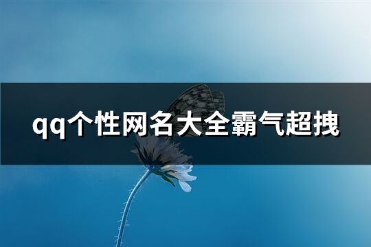 qq个性网名大全霸气超拽(144个)