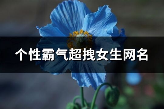 个性霸气超拽女生网名(精选119个)