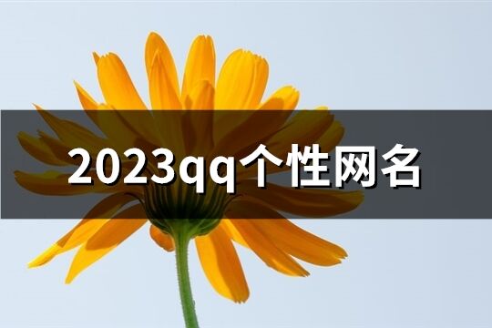 2023qq个性网名(478个)