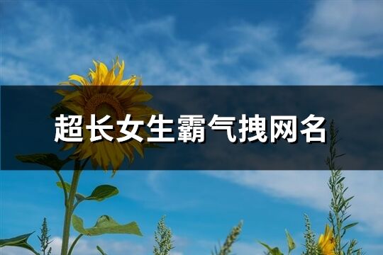 超长女生霸气拽网名(精选501个)