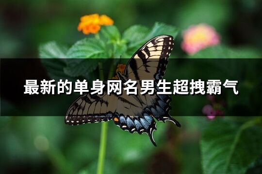 最新的单身网名男生超拽霸气(精选142个)