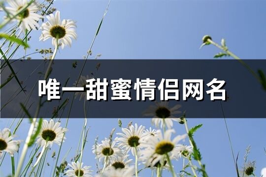 唯一甜蜜情侣网名(精选314个)