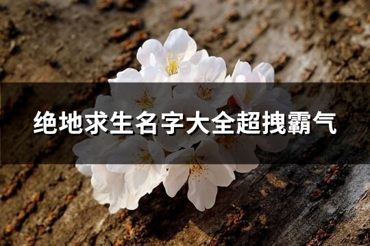 绝地求生名字大全超拽霸气(优选171个)