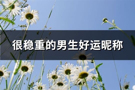 很稳重的男生好运昵称(153个)