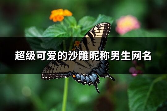 超级可爱的沙雕昵称男生网名(290个)