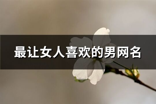 最让女人喜欢的男网名(优选133个)