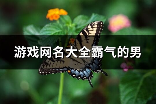 游戏网名大全霸气的男(优选60个)