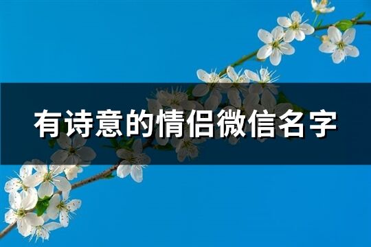 有诗意的情侣微信名字(精选108个)