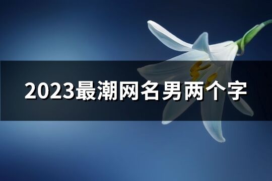 2023最潮网名男两个字(优选1011个)