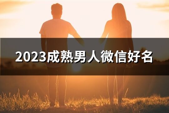 2023成熟男人微信好名(共549个)